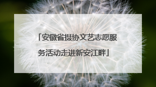 安徽省摄协文艺志愿服务活动走进新安江畔