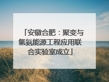 安徽合肥：聚变与氢氨能源工程应用联合实验室成立
