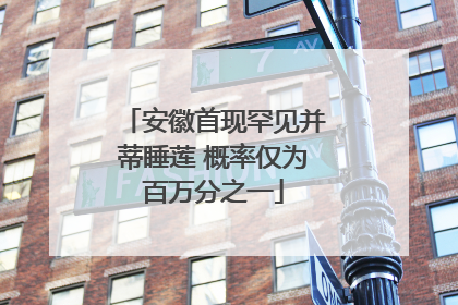 安徽首现罕见并蒂睡莲 概率仅为百万分之一