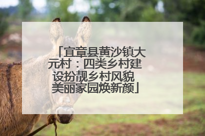 宜章县黄沙镇大元村：四类乡村建设扮靓乡村风貌 美丽家园焕新颜