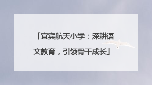 宜宾航天小学：深耕语文教育，引领骨干成长