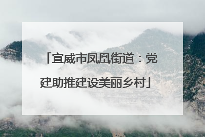 宣威市凤凰街道：党建助推建设美丽乡村