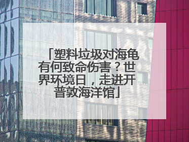 塑料垃圾对海龟有何致命伤害？世界环境日，走进开普敦海洋馆