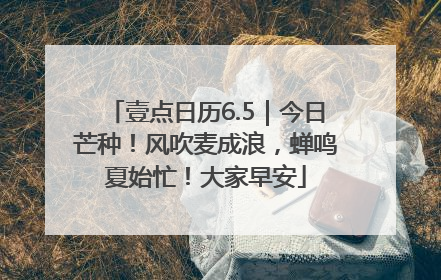 壹点日历6.5|今日芒种!风吹麦成浪,蝉鸣夏始忙!大家早安