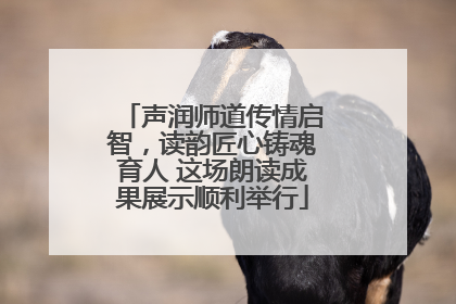 声润师道传情启智，读韵匠心铸魂育人 这场朗读成果展示顺利举行
