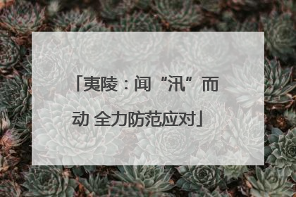 夷陵：闻“汛”而动 全力防范应对