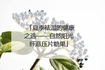 夏季祛湿的健康之选——自然阳光纤薏压片糖果