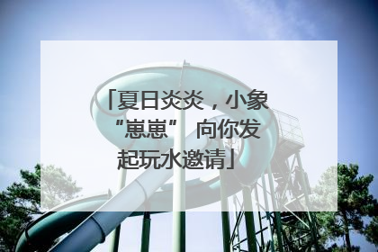 夏日炎炎，小象“崽崽” 向你发起玩水邀请