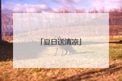 夏日送清凉