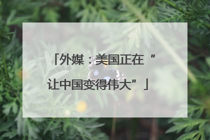 外媒：美国正在“让中国变得伟大”
