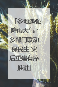 多地遇强降雨天气：多部门联动保民生 灾后重建有序推进