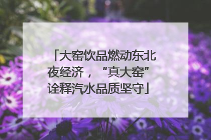 大窑饮品燃动东北夜经济，“真大窑”诠释汽水品质坚守