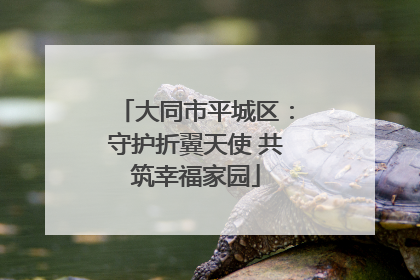 大同市平城区：守护折翼天使 共筑幸福家园