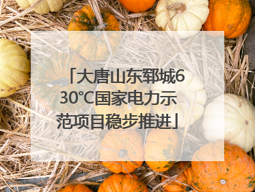 大唐山东郓城630℃国家电力示范项目稳步推进