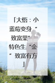 大悟：小蓝莓变身“致富果” 特色生“金”致富有方