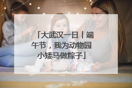 大武汉一日丨端午节，我为动物园小矮马做粽子