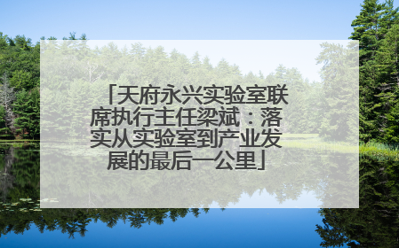 天府永兴实验室联席执行主任梁斌：落实从实验室到产业发展的最后一公里