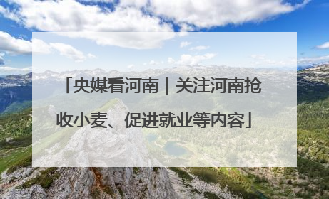 央媒看河南｜关注河南抢收小麦、促进就业等内容