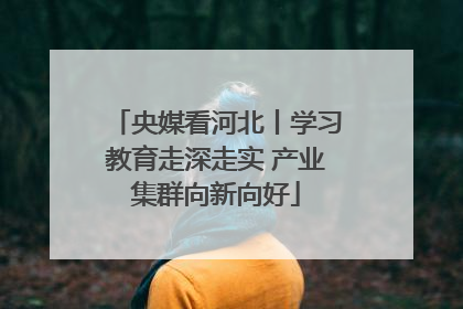 央媒看河北丨学习教育走深走实 产业集群向新向好