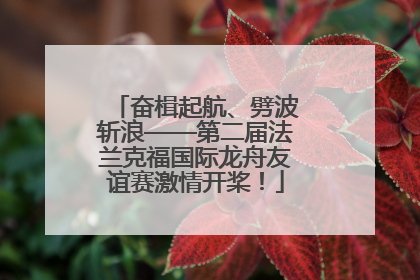 奋楫起航、劈波斩浪——第二届法兰克福国际龙舟友谊赛激情开桨！