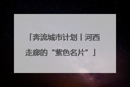 奔流城市计划丨河西走廊的“紫色名片”