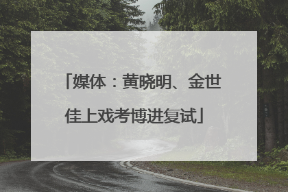 媒体：黄晓明、金世佳上戏考博进复试