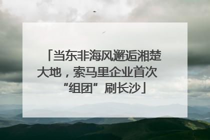 当东非海风邂逅湘楚大地，索马里企业首次“组团”刷长沙