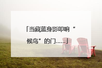 当藏蓝身影叩响“候鸟”的门……