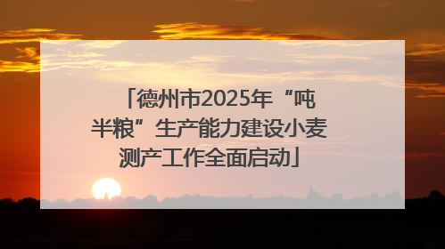 德州市2025年“吨半粮”生产能力建设小麦测产工作全面启动
