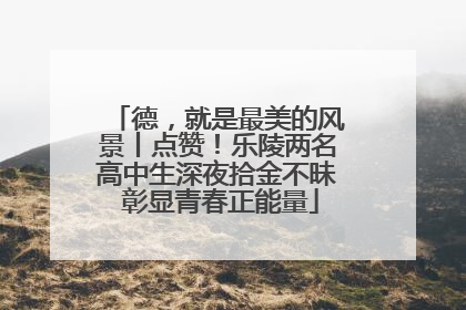 德，就是最美的风景丨点赞！乐陵两名高中生深夜拾金不昧 彰显青春正能量