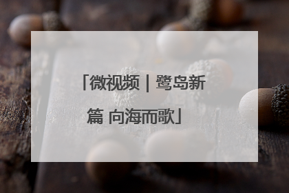 微视频｜鹭岛新篇 向海而歌