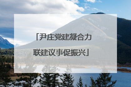 尹庄党建凝合力 联建议事促振兴