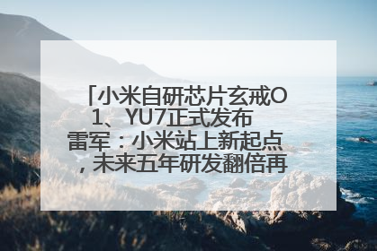 小米自研芯片玄戒O1、YU7正式发布 雷军：小米站上新起点，未来五年研发翻倍再投2000亿元
