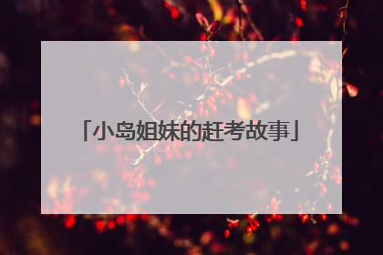 小岛姐妹的赶考故事