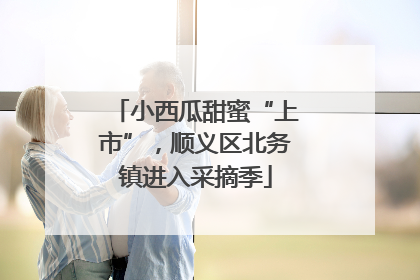 小西瓜甜蜜“上市”，顺义区北务镇进入采摘季