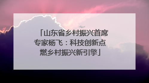 山东省乡村振兴首席专家杨飞：科技创新点燃乡村振兴新引擎