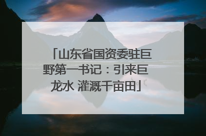 山东省国资委驻巨野第一书记：引来巨龙水 灌溉千亩田