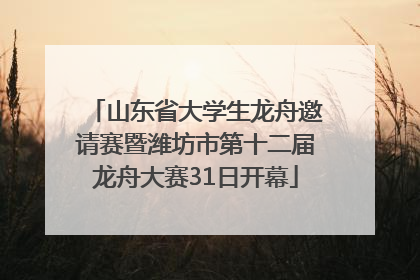 山东省大学生龙舟邀请赛暨潍坊市第十二届龙舟大赛31日开幕