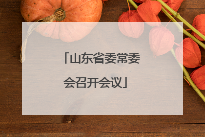 山东省委常委会召开会议