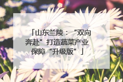 山东兰陵：“双向奔赴”打造蔬菜产业保障“升级版”