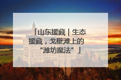 山东援藏｜生态援藏，戈壁滩上的“潍坊魔法”