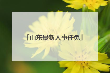 山东最新人事任免