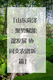 山东菏泽：聚势赋能谋发展 协同支农谱新篇