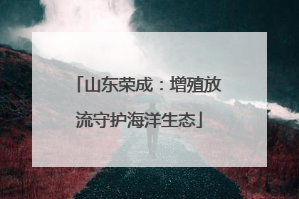 山东荣成：增殖放流守护海洋生态