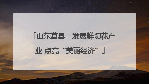 山东莒县：发展鲜切花产业 点亮“美丽经济”