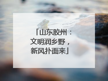 山东胶州：文明润乡野，新风扑面来