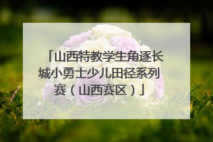 山西特教学生角逐长城小勇士少儿田径系列赛（山西赛区）