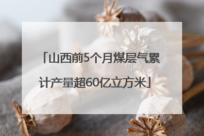 山西前5个月煤层气累计产量超60亿立方米
