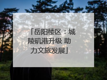 岳阳楼区：城陵矶港升级 助力文旅发展