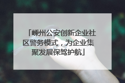 嵊州公安创新企业社区警务模式，为企业集聚发展保驾护航